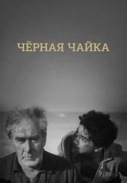 Черная чайка