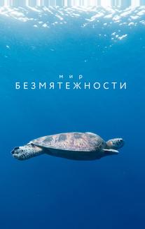 Мир безмятежности